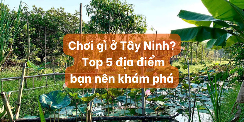 Chơi gì ở Tây Ninh