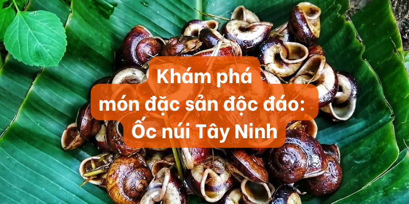 Ốc núi Tây Ninh