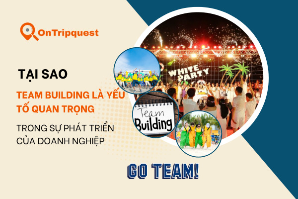 Tại sao Team Building là Yếu tố Quan Trọng trong Sự Phát Triển Của Doanh Nghiệp