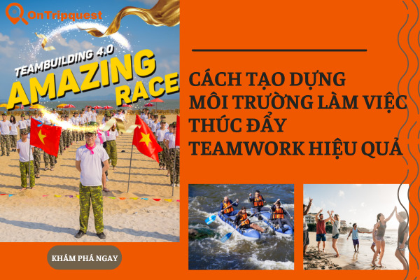 Cách Tạo Dựng Môi Trường Làm Việc Thúc Đẩy Teamwork Hiệu Quả