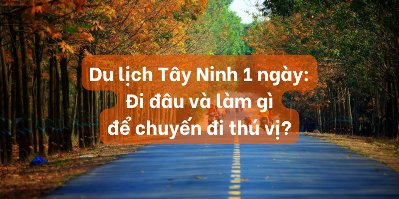 Du lịch Tây Ninh 1 ngày