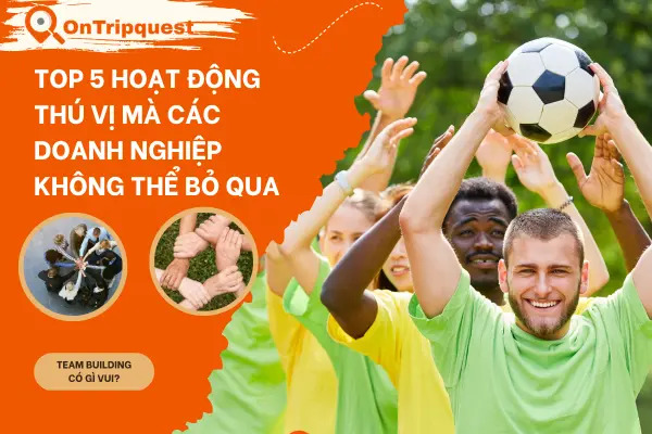 Team Building Có Gì Vui? Top 5 Hoạt Động Thú Vị Mà Các Doanh Nghiệp Không Thể Bỏ Qua